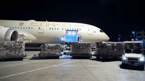 El avión de Etihad trasladó la carga de suministros médicos a Italia. (WAM)