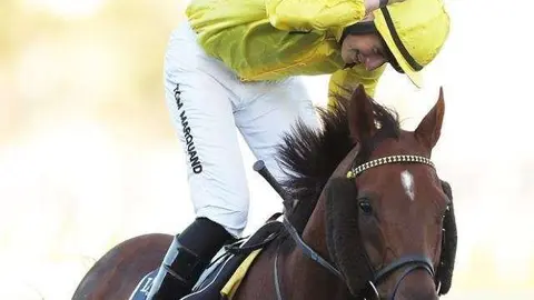  El jinete Tom Marquand y el caballo Addeybb en Australia (Getty Images)