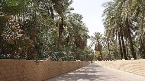 Una granja en Emiratos Árabes. (Fuente externa)