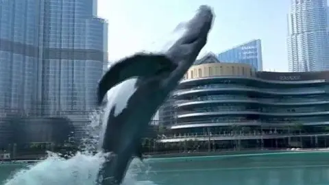 Una captura de pantalla del vídeo difundido.