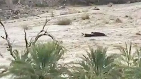 Una captura de pantalla del vídeo de un coche arrastrado por las aguas.