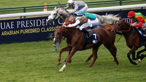 En la imagen de WAM, una competición hípica.