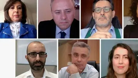 Participantes en el debate telemático ‘E-salud, cambio del modelo sanitario y Covid-19’, organizado por la Agencia EFE. (Efe)