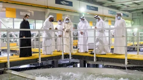 Dubai Media Office difundió esta imagen del jeque Mohamed en la piscifactoría.