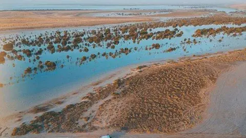 Salinas en el emirato de Umm Al Quwain. (Twitter)