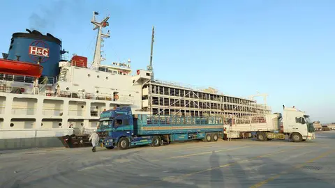 El barco que transportó a los animales desde Uruguay a Abu Dhabi. (WAM)