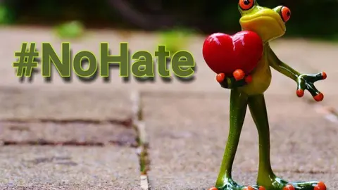 El hater es la persona que se dedica a criticar negativamente y ofendiendo sistemáticamente todo aquello que se le cruza por la vida.