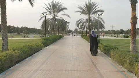 Perspectiva de Baniyas Ladies Park. (Google Maps)
