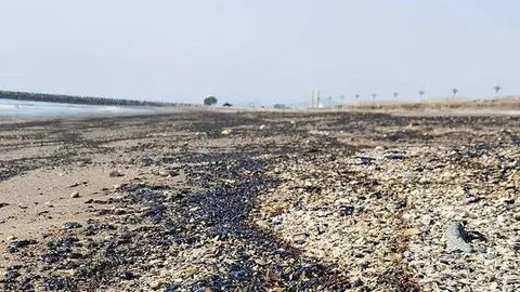 Un derrame de petróleo en Kalba . (Hisn Kalba Instagram)