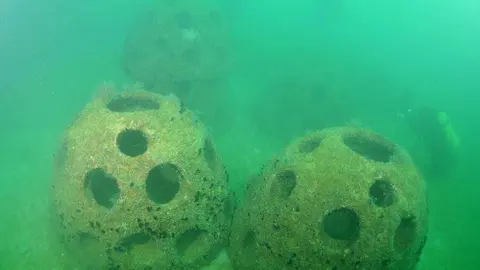 Hasta el momento se han situado 3.200 cuevas artificiales en diferentes zonas del país. (WAM)