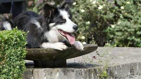 Los días de celebración del Eid van a ser especialmente calurosos en Emiratos Árabes. (pxhere.com)