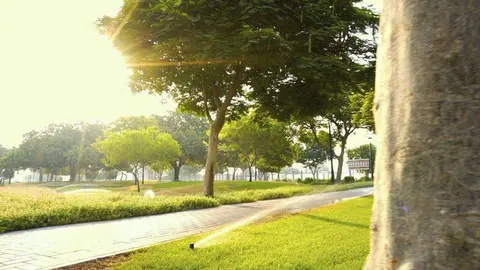 El objetivo del desarrollo de nuevos parques en Dubai es construir una ciudad feliz y sostenible. (WAM)