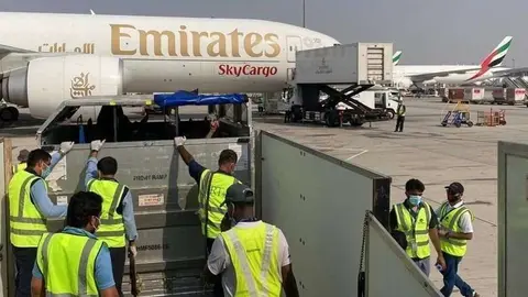 Los caballos son trasladados hasta el avión de Emirates. (El Observador)
