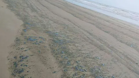 Medio Ambiente de Sharjah difundió imágenes de las manchas de petróleo en la playa.