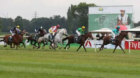 Una imagen de Wam de la Copa Sheikh Zayed Bin Sultan Al Nahyan.