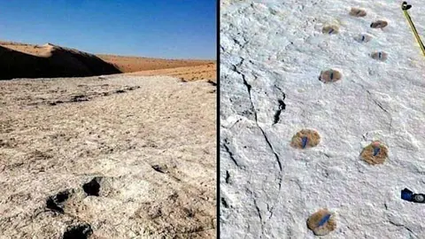 Imágenes de las huellas humanas milenarias en Arabia. (Saudi Gazette)