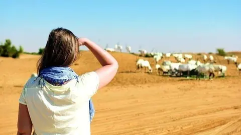 Visitante observa la fauna sobre las dunas en la Reserva del Desierto de Dubai. (WAM)