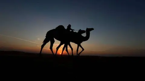 Una imagen del Festival de Al Dhafra en Abu Dhabi. (WAM)