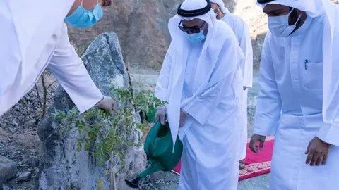 El gobernante de Sharjah riega una de las plantas tras la siembra. (WAM)
