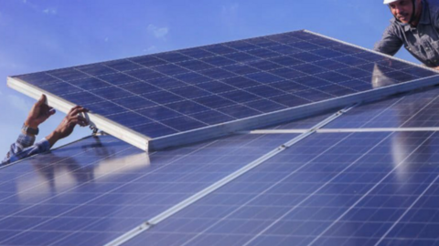 Paneles solares. (WAM)