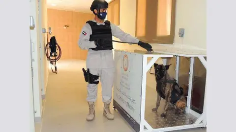 Perros rastreadores de Emiratos Árabes. (Emarat al Youm)