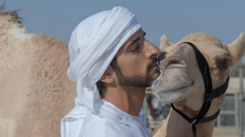 El príncipe heredero de Dubai junto a uno de sus camellos. (Instagram)