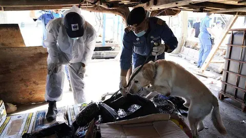 Aduanas de Dubai  difundió esta imagen del registro.