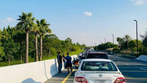 Fila de coches esperando el turno para vacunarse. (Fuente externa)