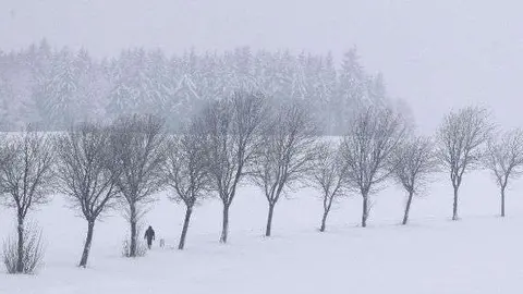 Europa sufre una ola de frío.
