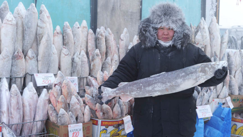 Pescado fresco en la ciudad rusa a -43 grados. (Twitter)
