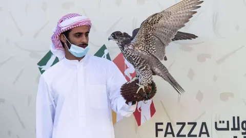 Antar, el halcón de Sheikh Hamdan bin Mohammed bin Rashid Al Maktoum en el campeonato de Dubai. (WAM)
