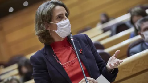 Teresa Ribera, ministra para la Transición Ecológica del Gobierno de España.