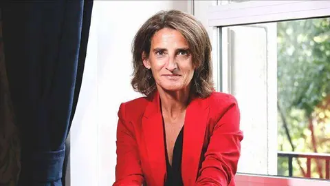 Teresa Ribera, vicepresidenta del Gobierno de España y ministra para la Transición Ecológica y el Reto Demográfico. (WAM)