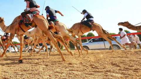 Un momento de la carrera de camellos. (Fuente externa)