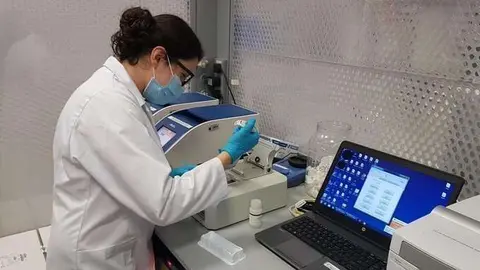 Pruebas de Covid-19 en EAU. (WAM)