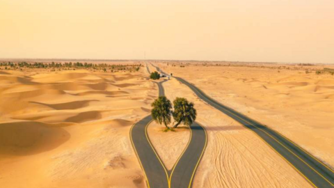 Carril bici en Dubai. (Fuente externa)