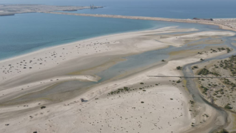 Una imagen del parque de manglares en Jebel Ali de Dubai. (Twitter)