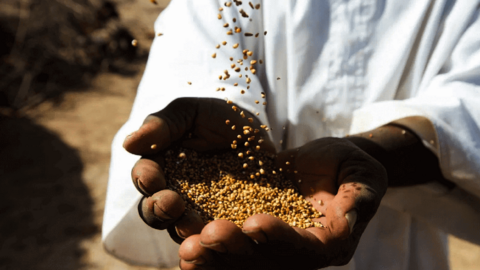 Durante Ramadán los musulmanes deben llevar a cabo donaciones de alimentos o de dinero. (www.islamicfinder.org)