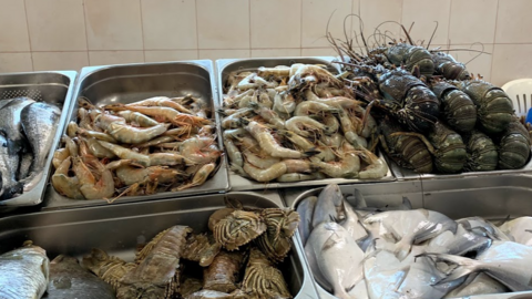 Pescado y marisco frescos en un mercado de Emiratos Árabes. (EL CORREO)