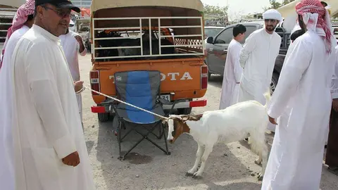 Un cordero se resiste a acompañar a su comprador en el mercado de Ras Al Khaimah. (EL CORREO)