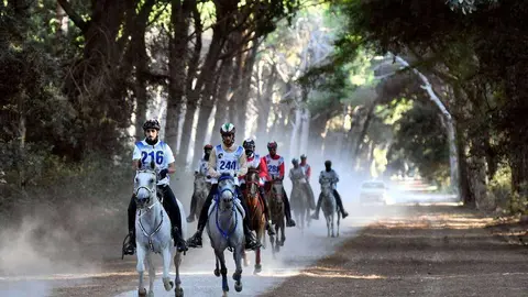 Una carrera de resistencia hípica. (WAM)
