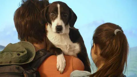 Imagen tomada de static.vix.com. 