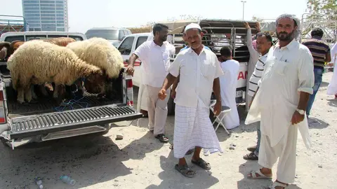 Imagen del mercado de corderos de Ras Al Khaimah por el Eid al Adha. (R. Pérez)