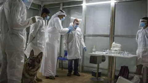 Perros K9 en Aeropuertos de Emiratos Árabes. (WAM)