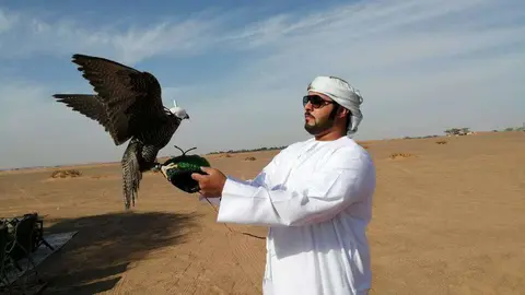 Un emiratí entrena a su halcón. (EL CORREO)