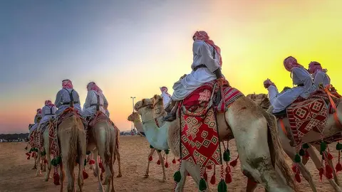 Camellos y entrenadores en Arabia Saudita. (Fuente externa)