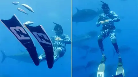 El jeque Hamdan durante su jornada de buceo en el Mediterráneo. (Instagram)