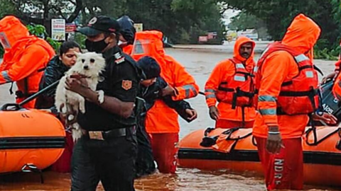 Una imagen de Twitter de las inundaciones en India.