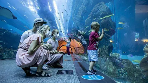 Una familia visita el acuario de Dubai Mall. (WAM)
