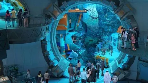 Una imagen del interior del acuario. (WAM)